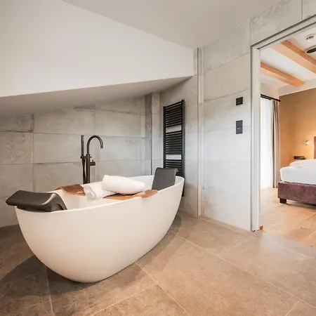 酒店 露塔施霍夫比奥酒店 4*