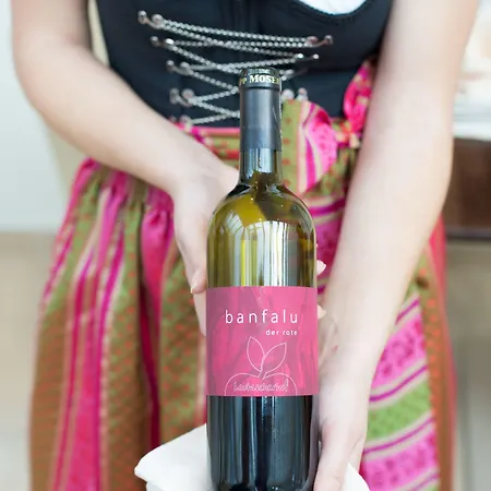 Biohotel Leutascherhof Hotel 4*