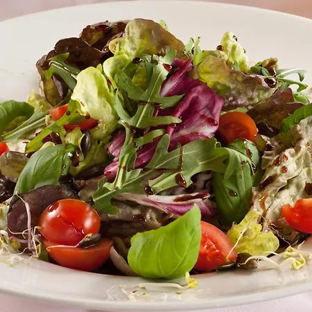 露塔施霍夫比奥酒店 酒店